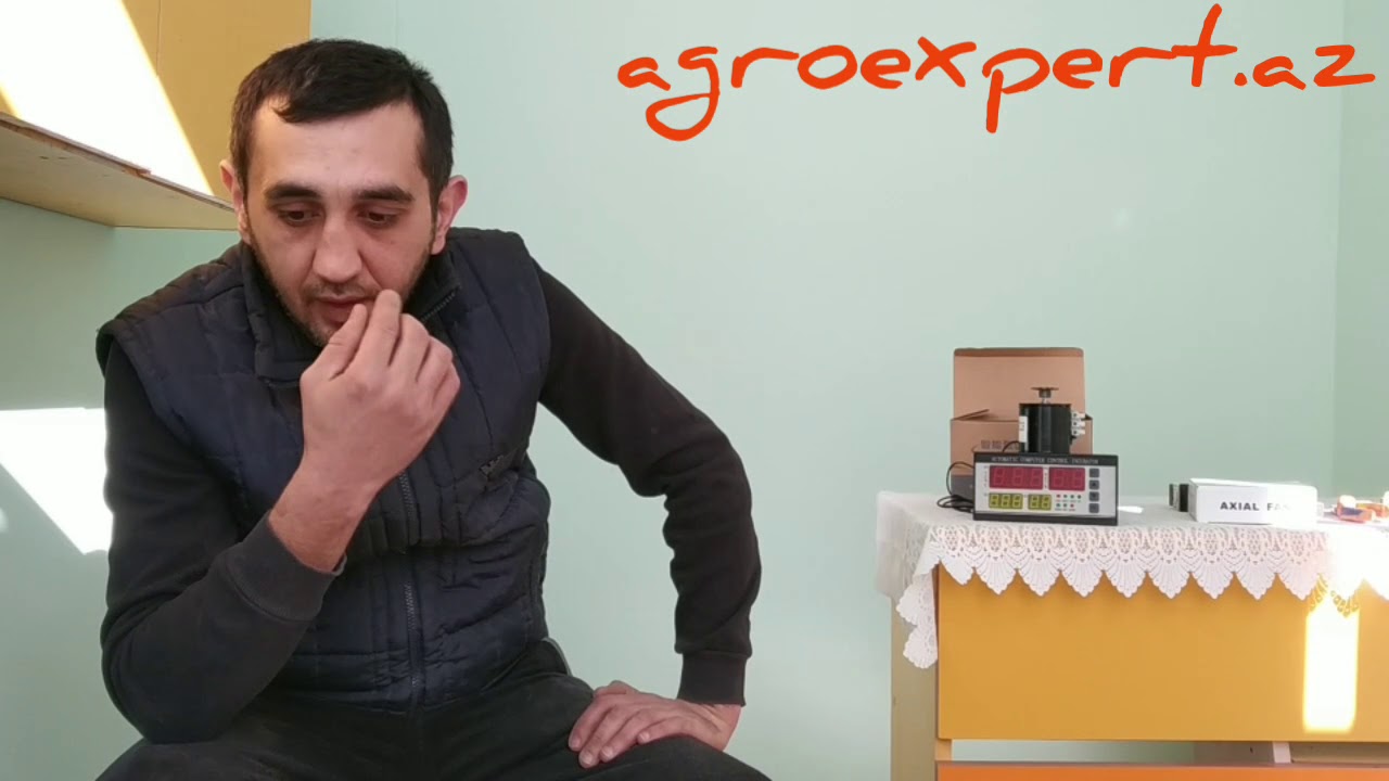 İnkubator haqqında
