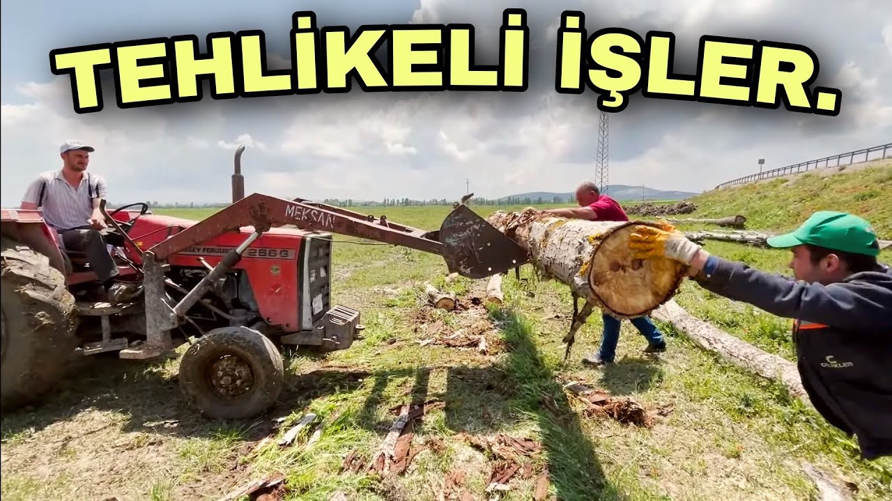 95 MODEL KEPÇENİN YAPMADIĞI İŞ YOK. ANGUS ÇİFTLİĞİNDE REVİZYON. MISIRLARIMIZA HANGİ İLAÇLARI ATTIK.