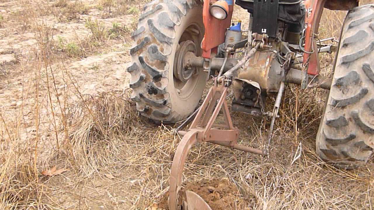 How We Harvest Potatoes at Magicland Farms