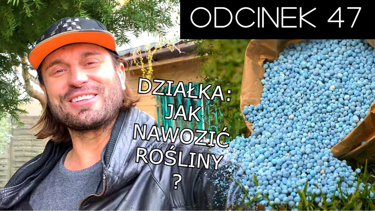 Działka - jak nawozić rośliny? 🌱 | Rafał Grabias