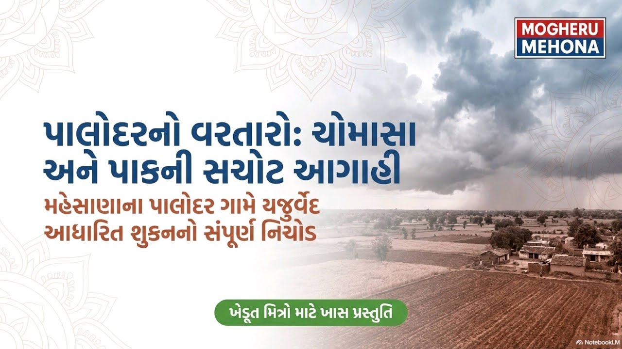 પાલોદરનો વરતારો: જેઠના બીજા પખવાડિયામાં થશે વાવણીલાયક વરસાદ, જાણો કેવું રહેશે આ વર્ષનું ચોમાસું?