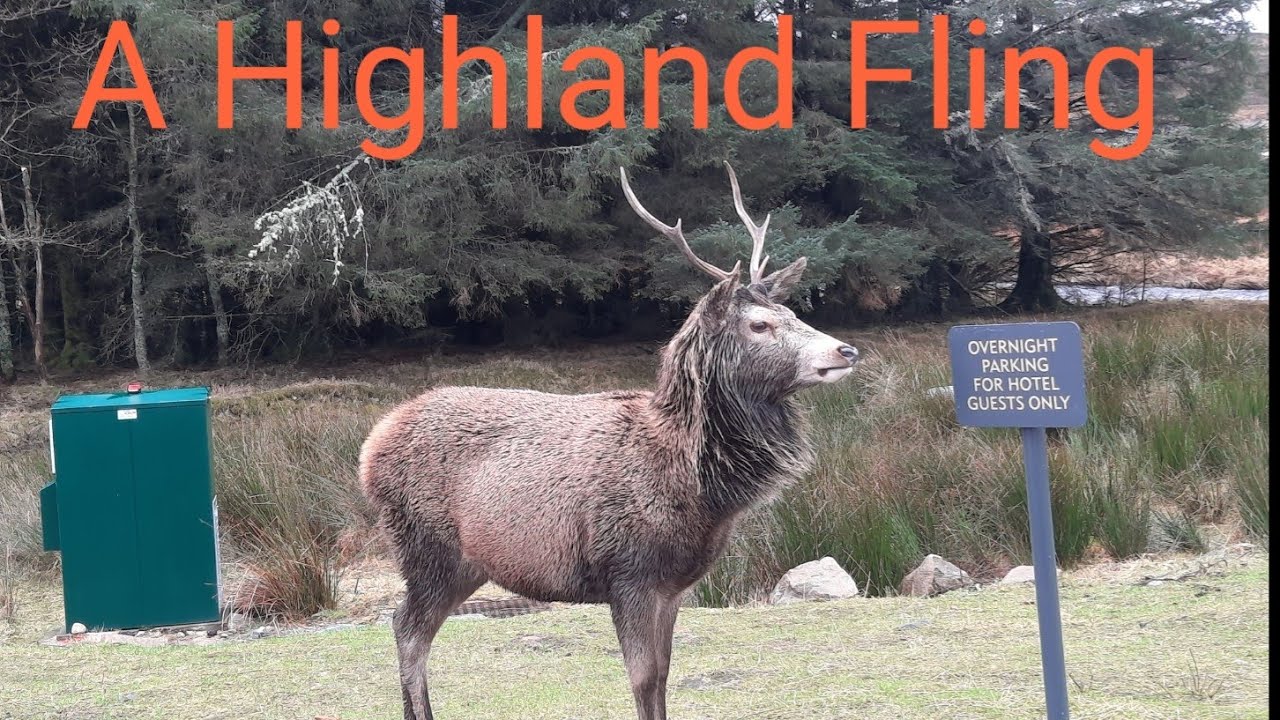 Glencoe Scenery/ The Kingshouse Hotel / Wild Deer / Waterfalls / Fort William / WHW Finish/ A82 Road