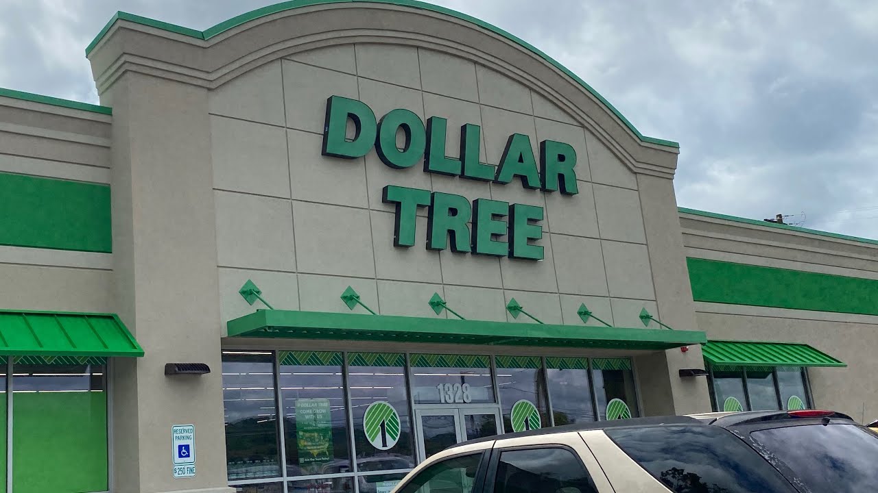 **NEW** Dollar Tree GRAND OPENING in my town! Fall 2025 🍁 