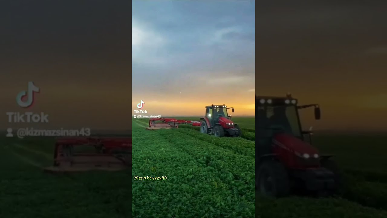 Yonca Bi&ccedil;imi Massey | 5440 | TikTok