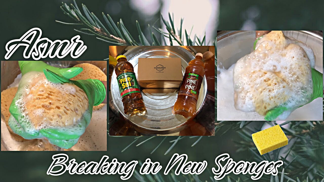 Breaking in New Sponges ASMR~Pine Sol & POP~Sponge Squeezing~Pine Milk Rinse #asmr #newsponges #pine