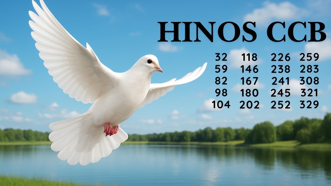 HINOS CCB  58 | 32 59 82 98 104 118 146 167 180 202 226 238 241 245 252 259 283 308 321 329