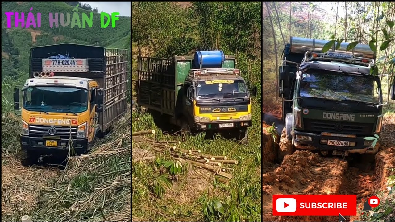 tiktok xe chở keo #TháiHuấnDf #19