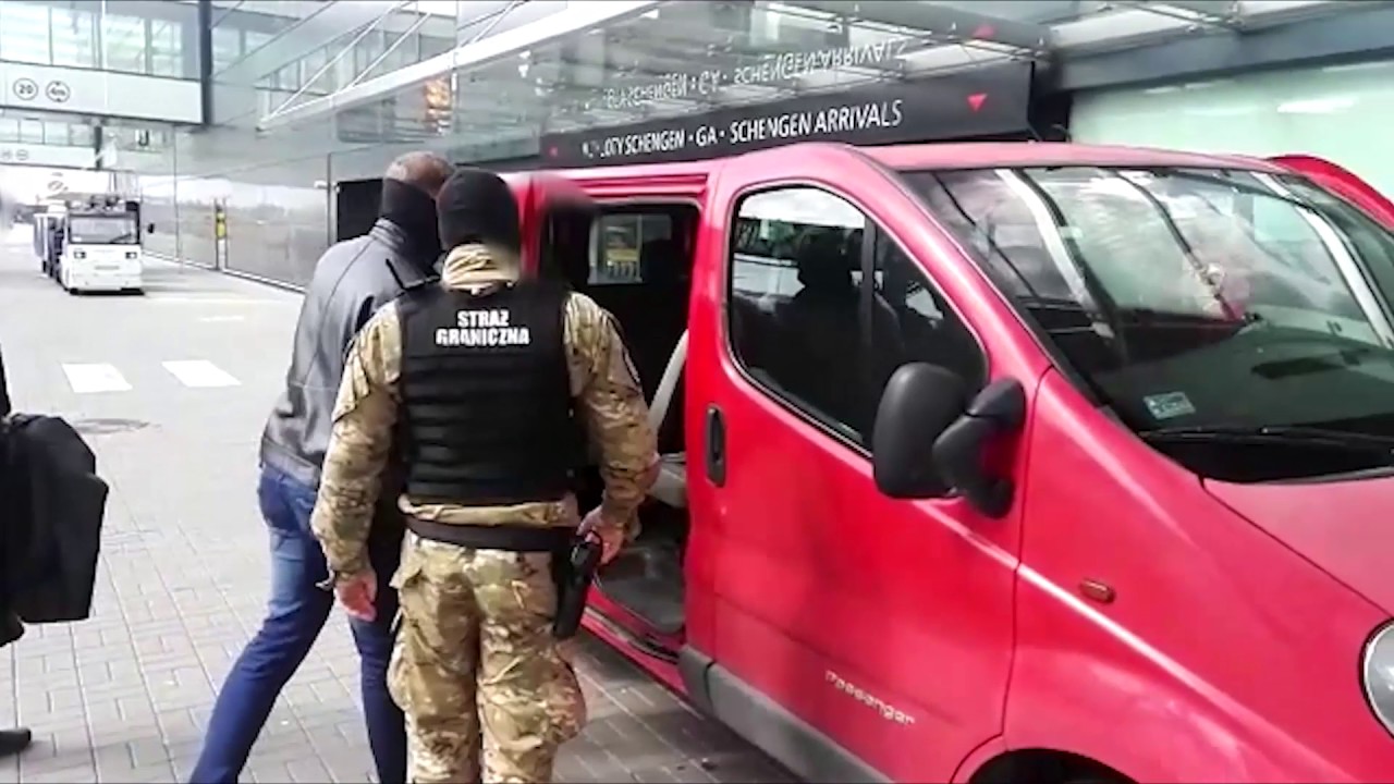 POLICJANCI ZATRZYMALI 6 OSÓB, ZABEZPIECZYLI ANABOLIKI O WARTOŚCI PONAD MILIONA ZŁOTYCH