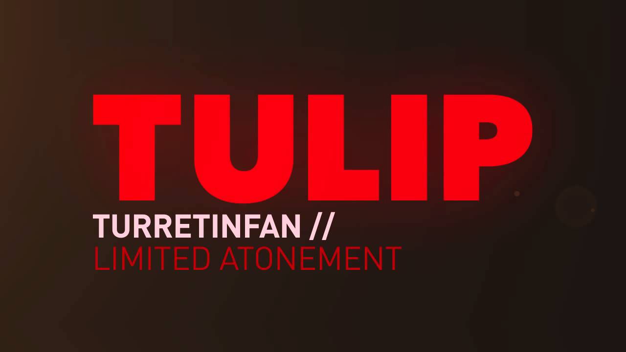 TULIP Part 3: Limited Atonement with TurretinFan