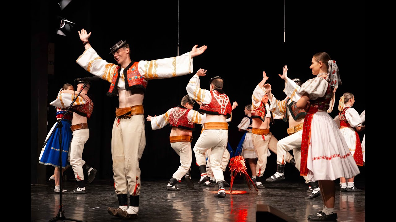 Preletelo vtáča -  Folklórny súbor Detva