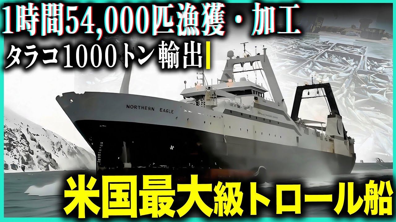 ノーザン・イーグル号！1航海1000トン・時速5.4万匹の驚異的漁獲巨大工場の実態