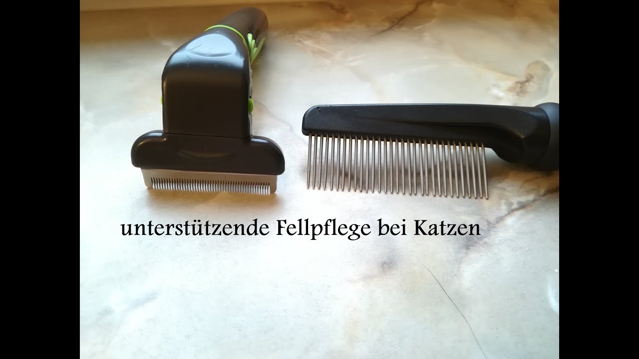 unterstützende Fellpflege bei Katzen