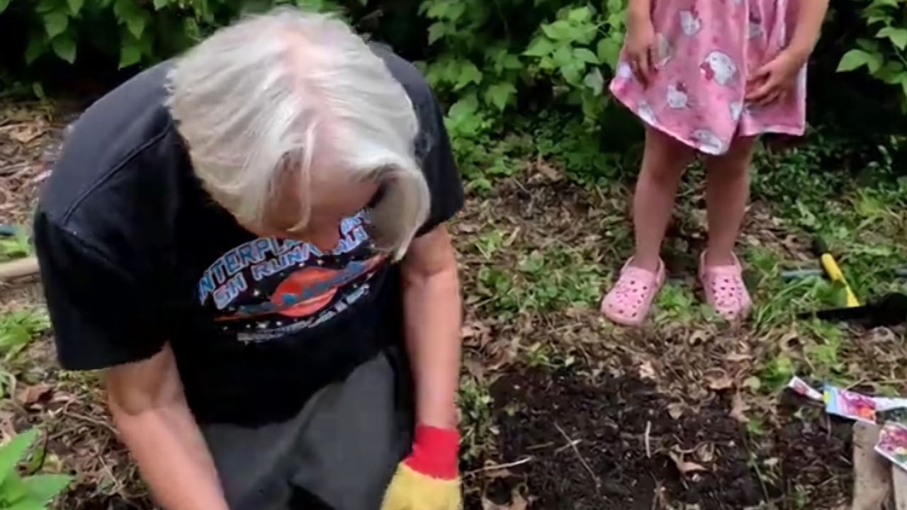 Things to do in your June garden