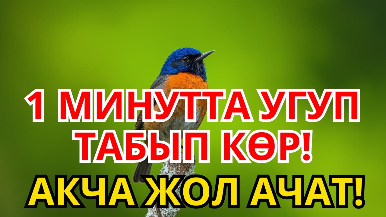 БАКЫТКА ЖОЛ АЧКАН ДУБА!  1 ГАНА ЖОЛУ УГУП КӨР