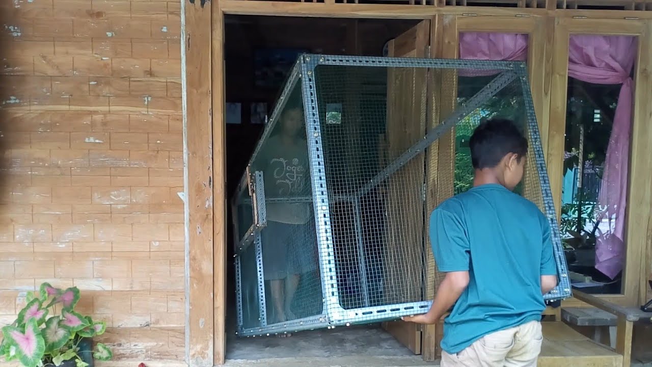 Membuat Aviary Mini di samping rumah modal kecil dan praktis