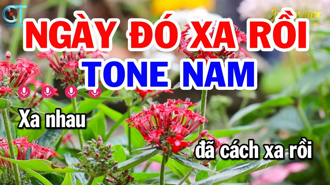 Karaoke Ngày Đó Xa Rồi Tone Nam ( Dm ) Nhạc Sống Beat Mới Nhất | Karaoke Tuấn Kiệt