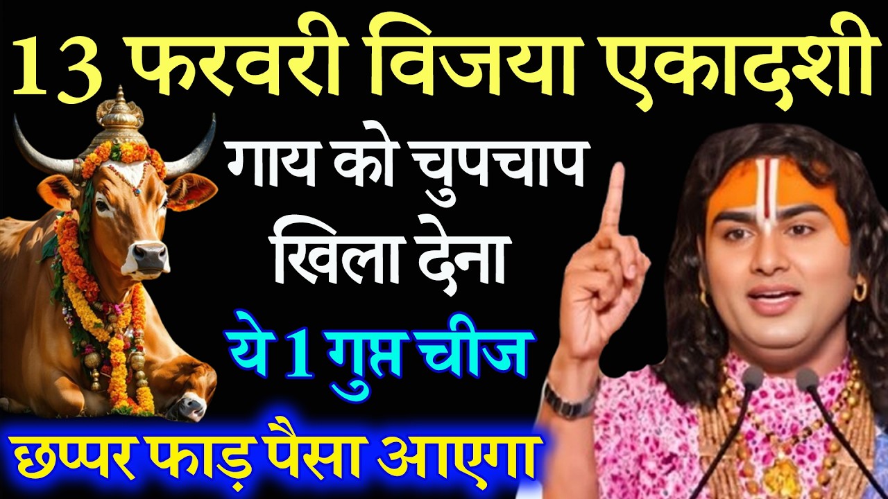 13 फरवरी विजया एकादशी पर गाय को खिला देना ये 1 गुप्त चीज | Aniruddhacharya Ji