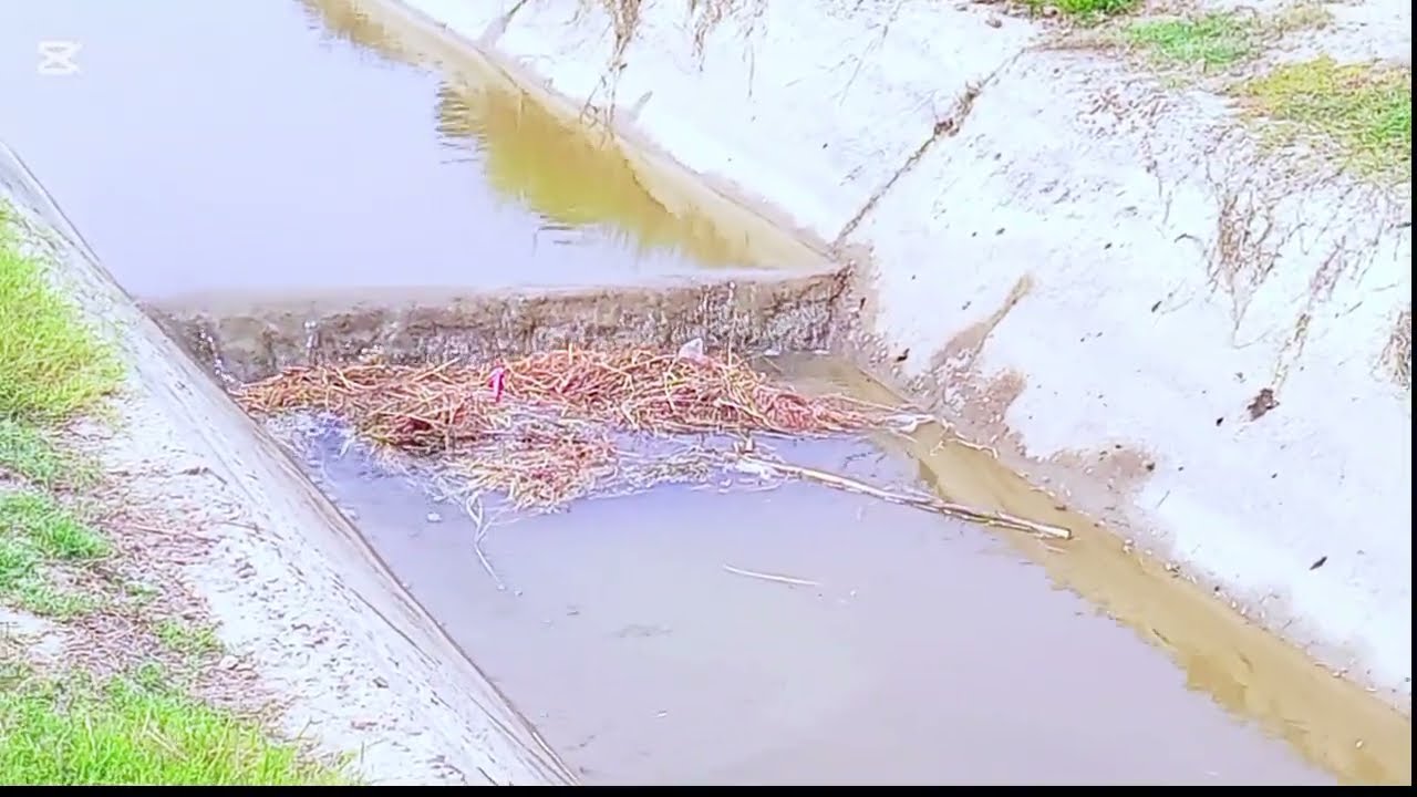 Aaj Humne Pani Lagana tha# chal Pade Nahar per Pani dekhne ke liye#travelvideo #new 