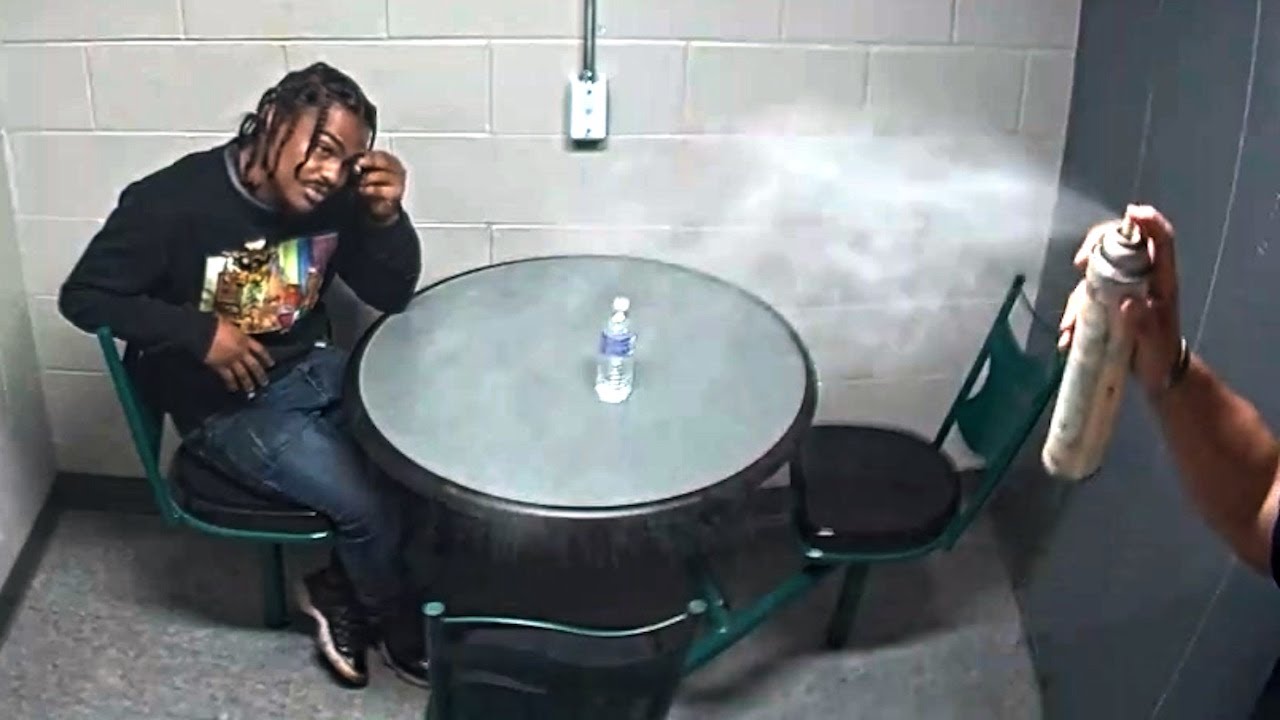 When the Suspect Is a Skunk 🦨💨