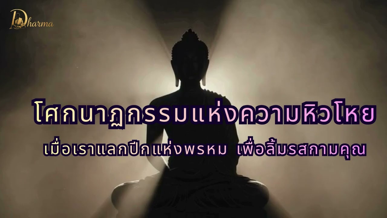 ทำไมต้องมีผู้หญิงและผู้ชาย? เปิดบันทึกลับกำเนิดเพศและสังคมมนุษย์