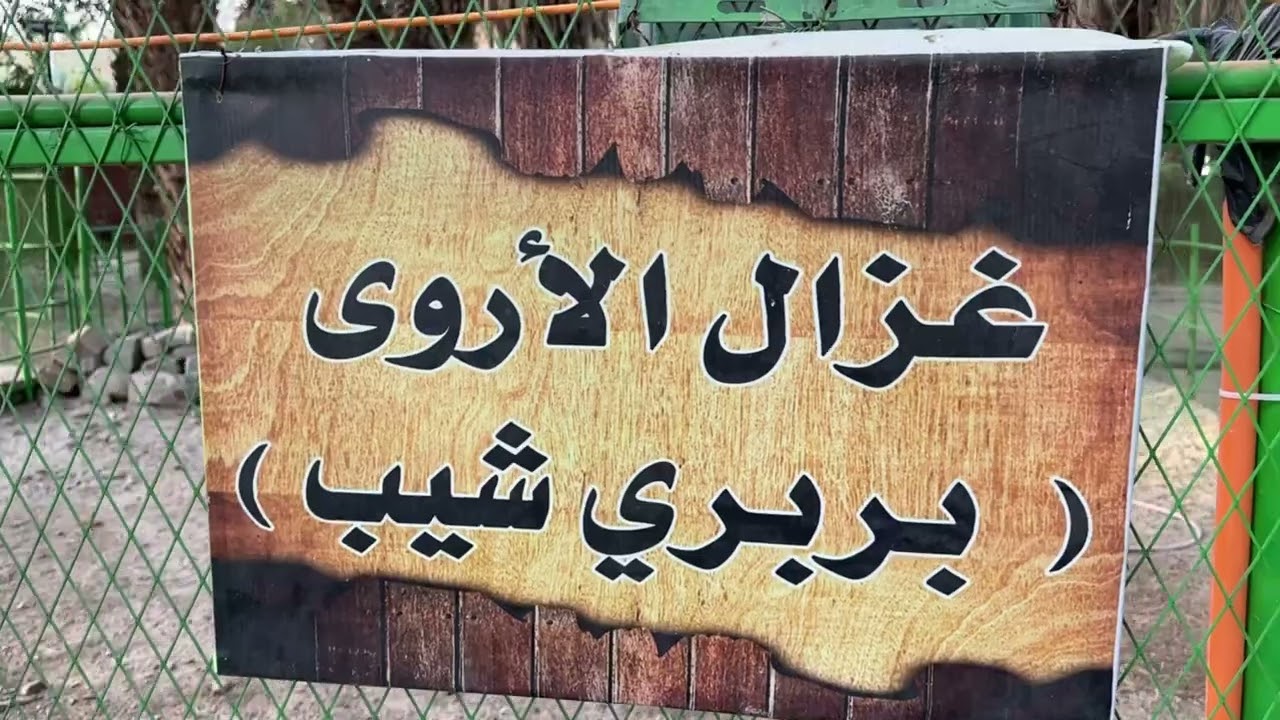منتجع السلوى بمحافظة (بيشة)