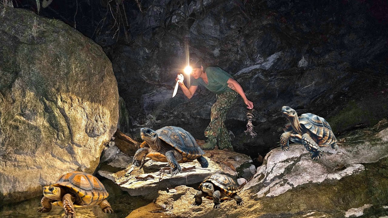 5 days of shelter building, night hunting, trapping, wild birds, wild turtles, crab, survival alone