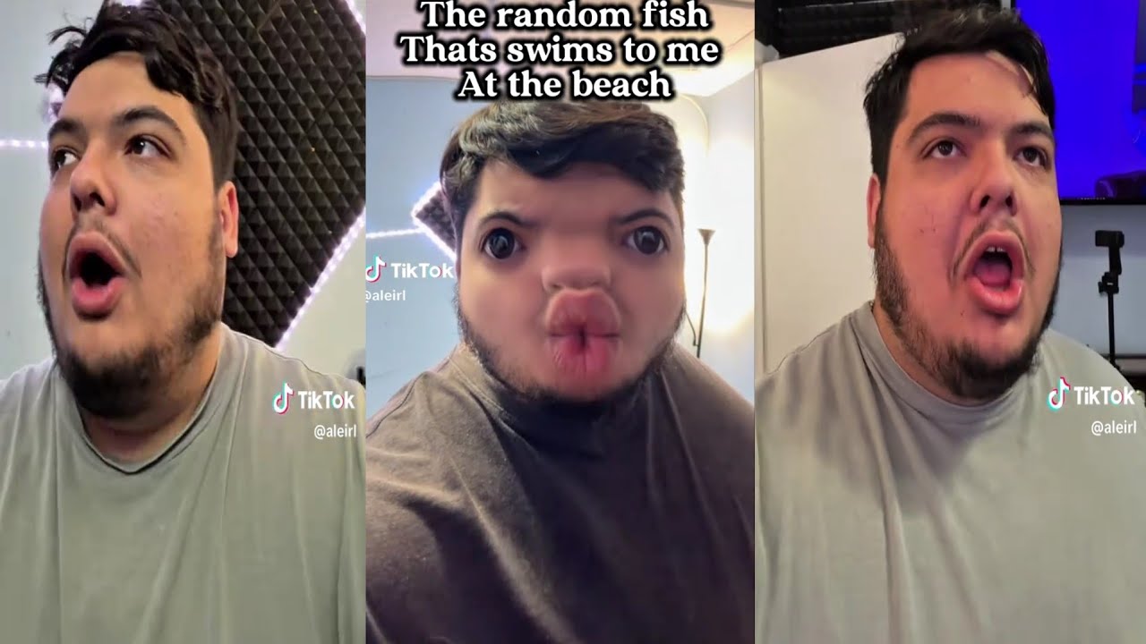 40 MINUTES + Aleirl Tik Tok Videos | Aleirl Funny Tik Tok Compilation 2026