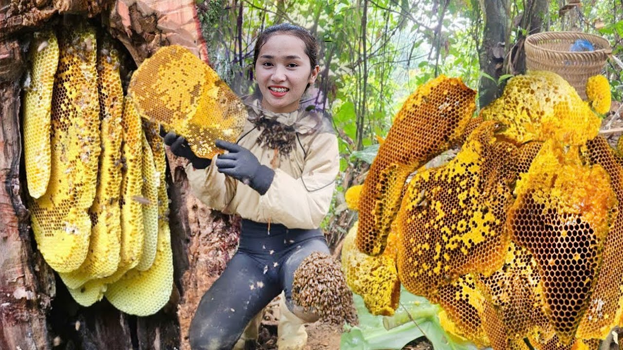 TIMELAPSE -- Harvested over 100 liters of wild honey - Sold it all at the village market