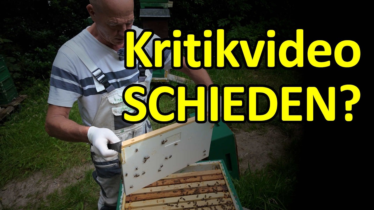 Kritikvideo: Buckfast und Schieden - Fremdbienen einführen aus Tansania und Sahara #dunklebiene
