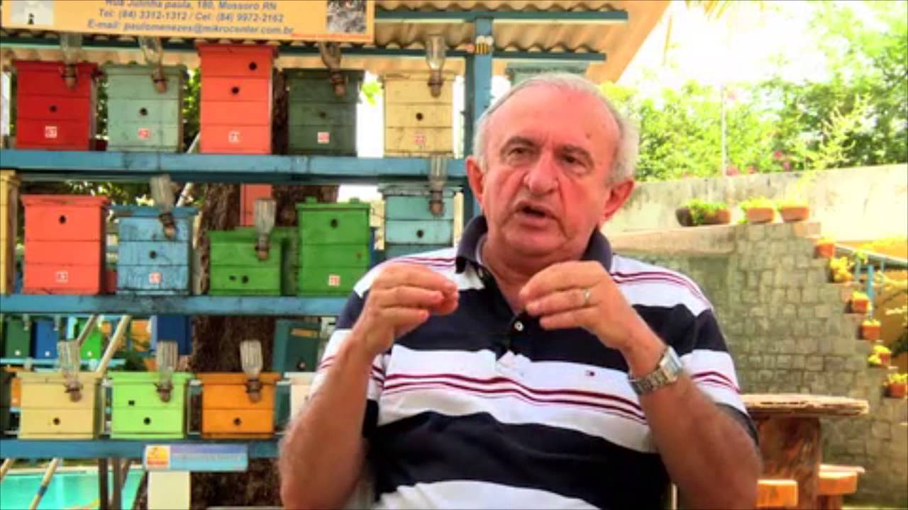ABELHAS
