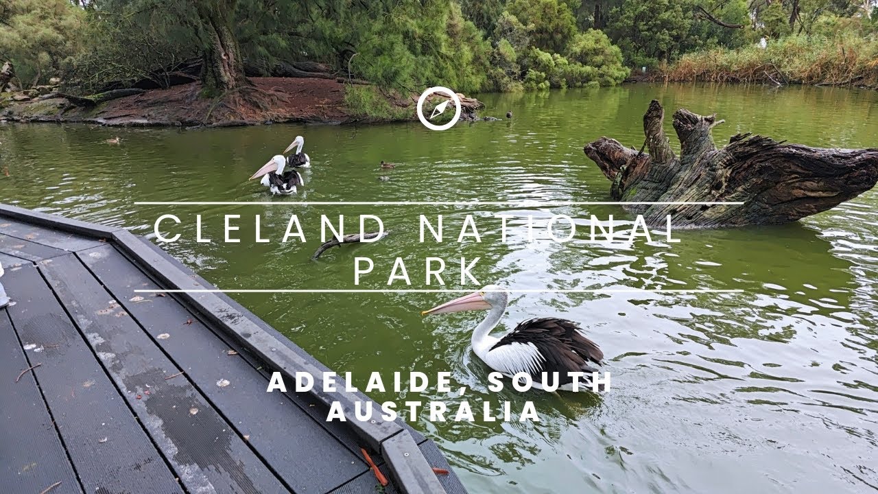 Cleland national park Adelaide South Australia walking tour in 4k