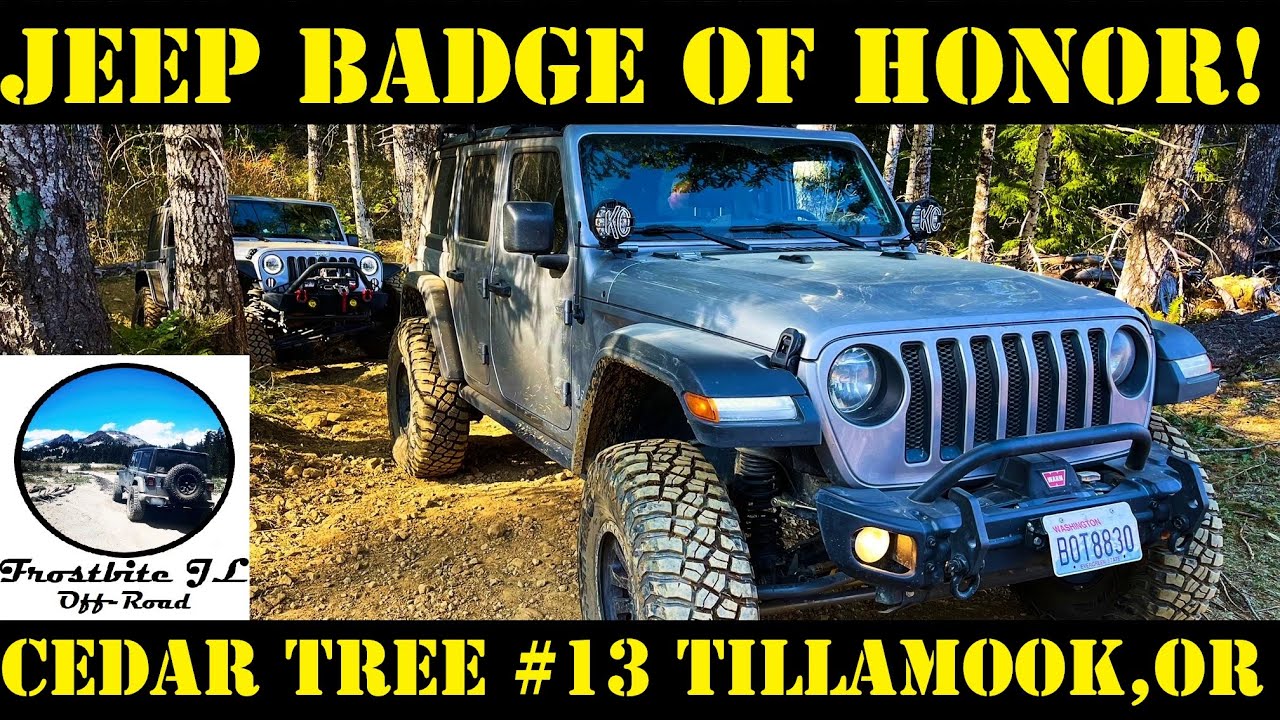Off-Roading My New JL Wrangler on Jeep Badge of Honor Trail-Cedar Tree #13, Tillamook Oregon