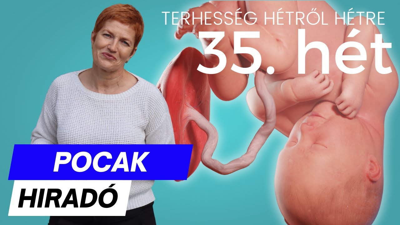 Terhesség 35. hete ∣ Terhesség hétről hétre