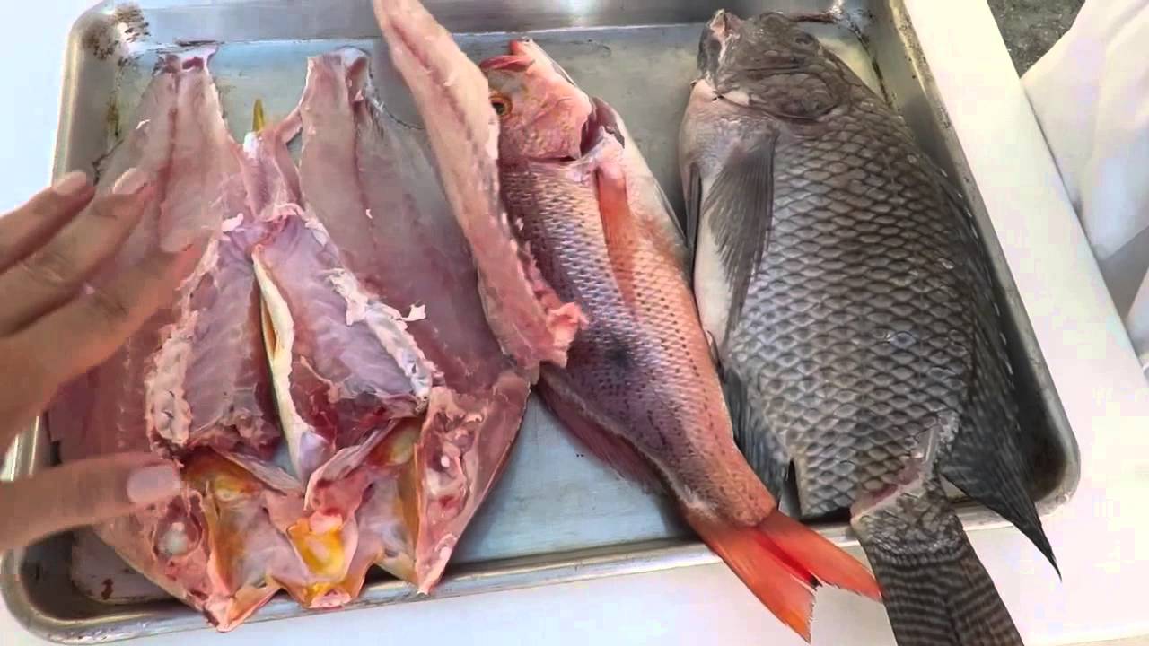 cómo hacer PESCADO A LA TALLA.