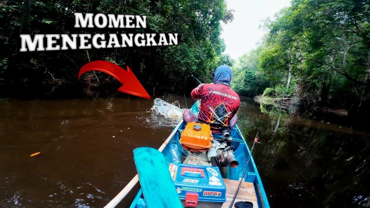 Serunya Mancing di Pedalaman Hutan Kalimantan Bareng Teman ❗️❗️❗️