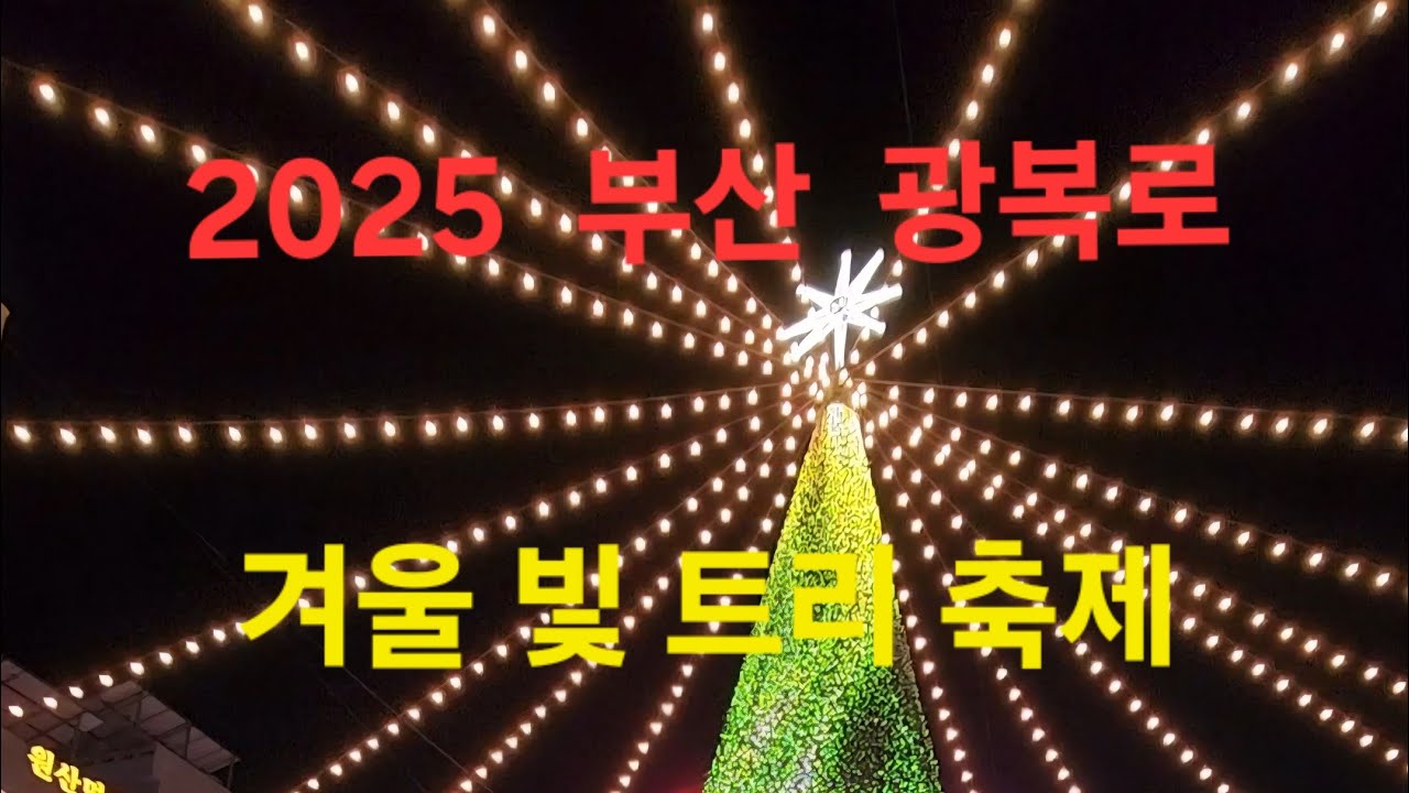 부산 겨울 밤 광복로는 빛으로 물든다