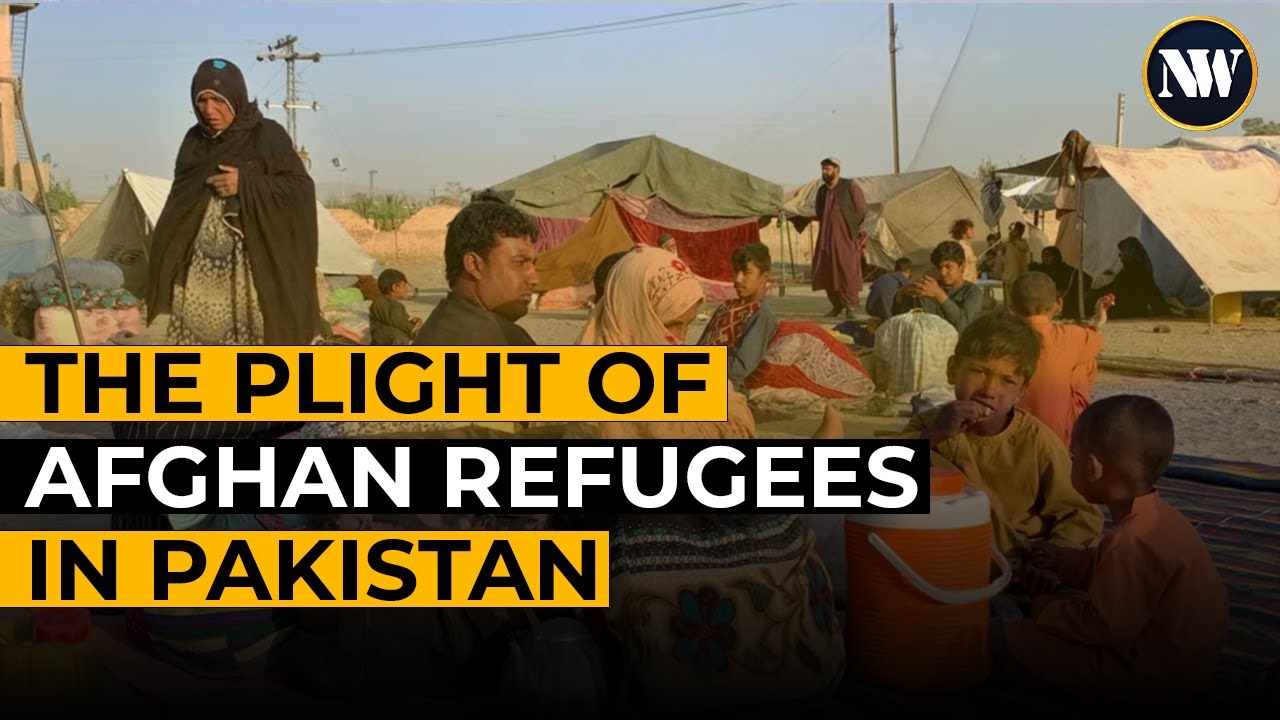 Public Opinion Clash: Afghan Deportations vs. Constitutional Values