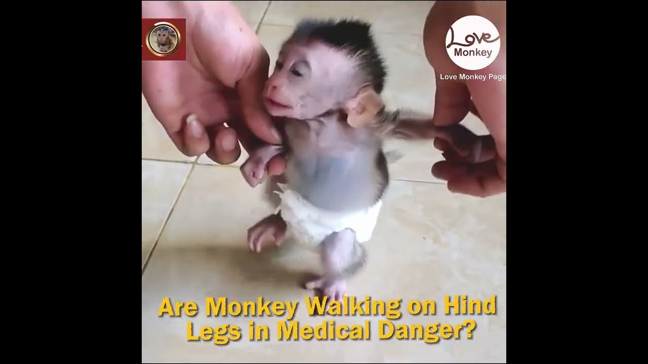 Million Sadness ! Dad So Strong and Tough Teaching His Poor baby Learn to Walk with two legs