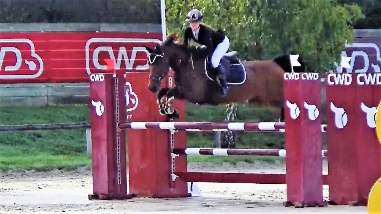 ■ 16/09/2023 - Concours Barbizon - Prépa 115 - Elay de Lux - CSO - Clara Maitre
