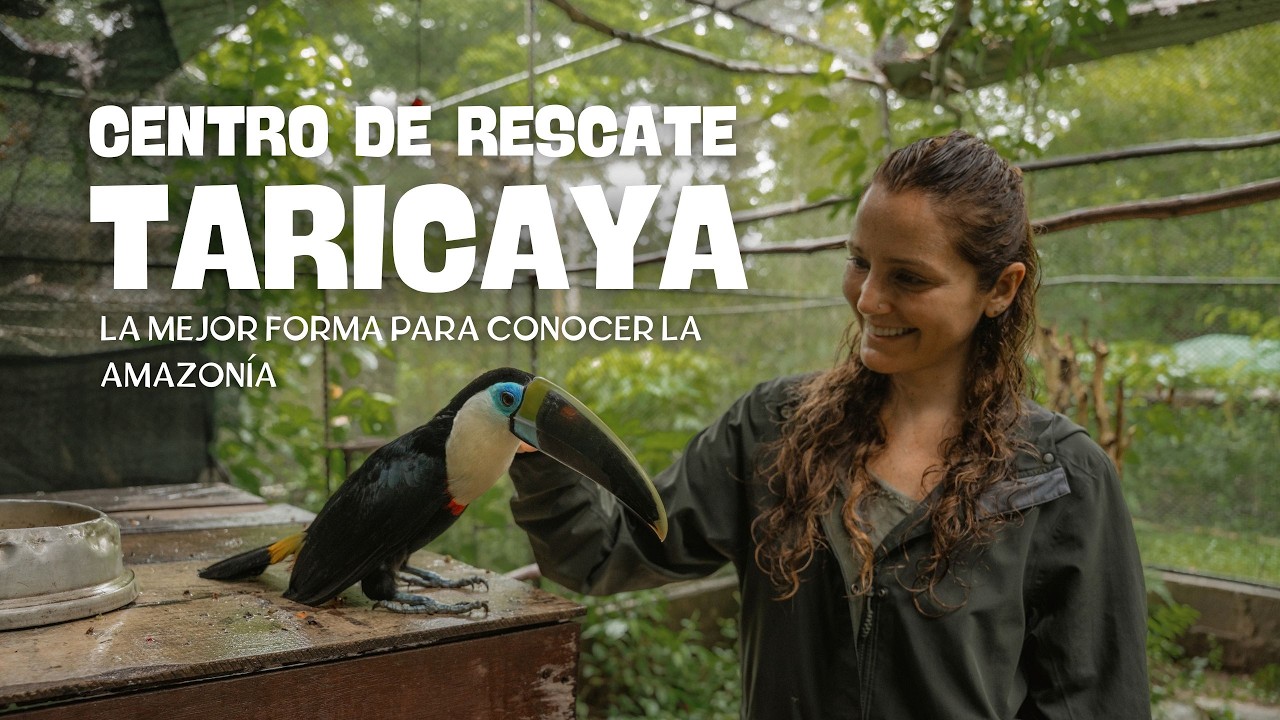 TARICAYA 🐢 La mejor forma de conocer y conectar con la Amazonía 🌳
