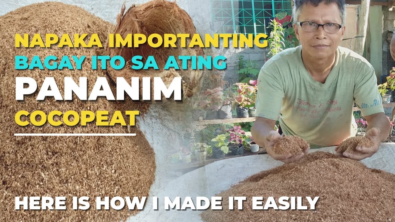 How To Make Cocopeat Easily For DIY Hydroponic Farming at Home