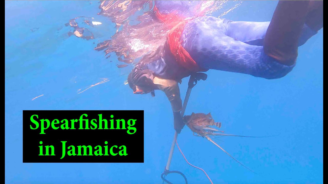 Spearfishing with locals in Jamaica 2025 with Jason George Photography