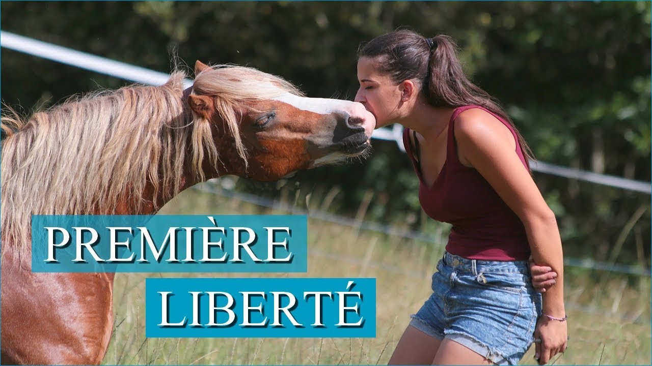 PREMIÈRE LIBERTÉ - Ace m'épate !