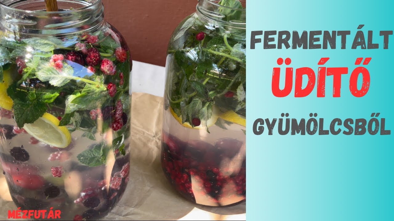 Hogy készítsünk fermentált üdítőt gyümölcsből?
