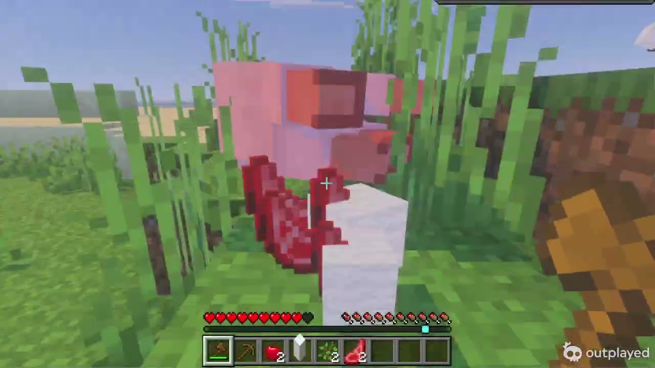 episode one of survival world