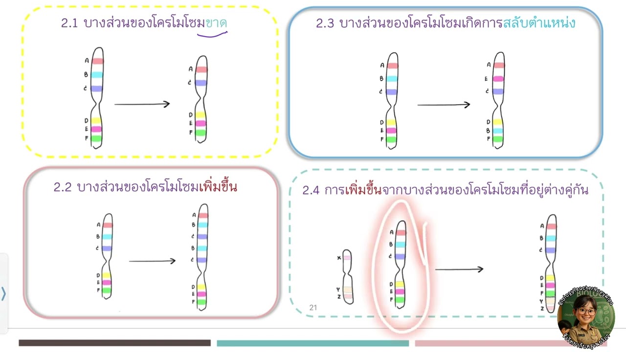 สรุป มิวเทชัน ม.4