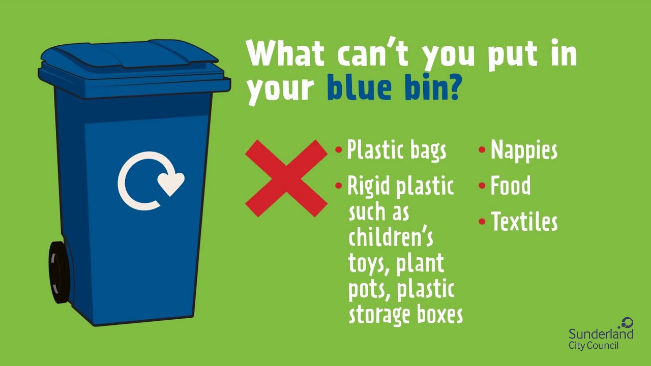 Blue Bin Information