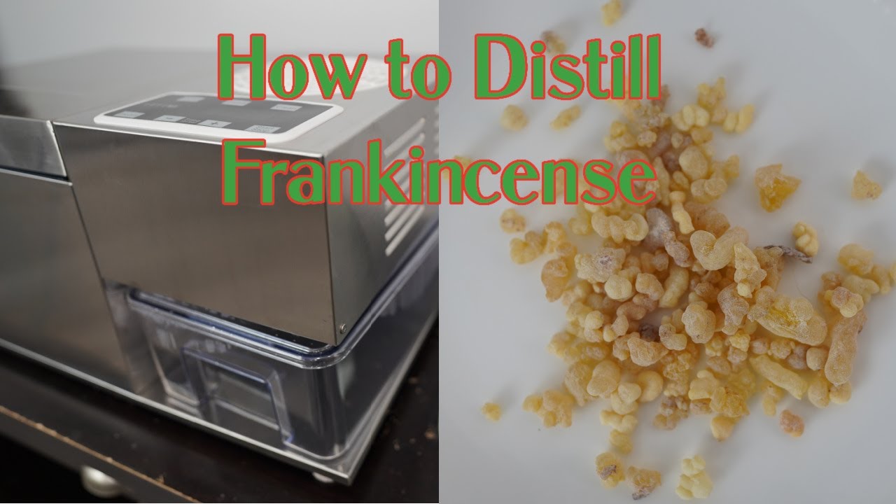 Make Frankincense Hydrosol by Hydro distillation with ADI. Benefit and Uses of Frankincense Hydrosol