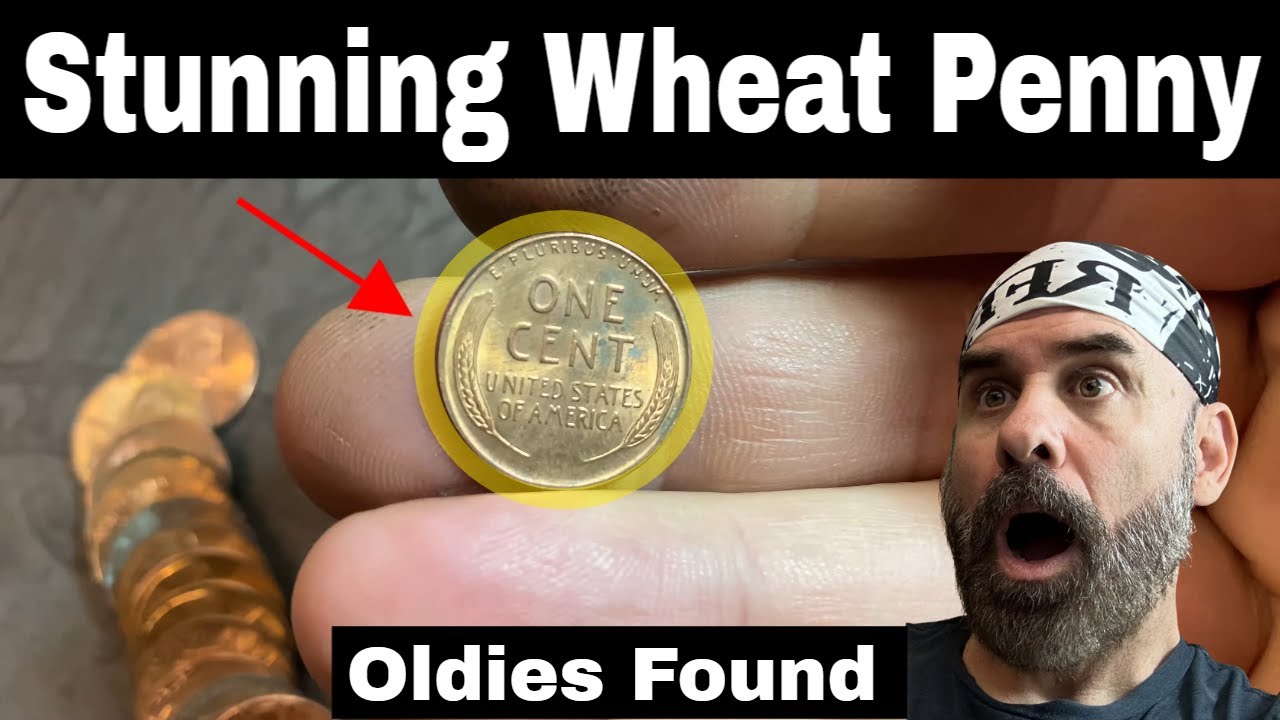 Old Wheat Pennies Found Searching Penny Boxes from the Bank