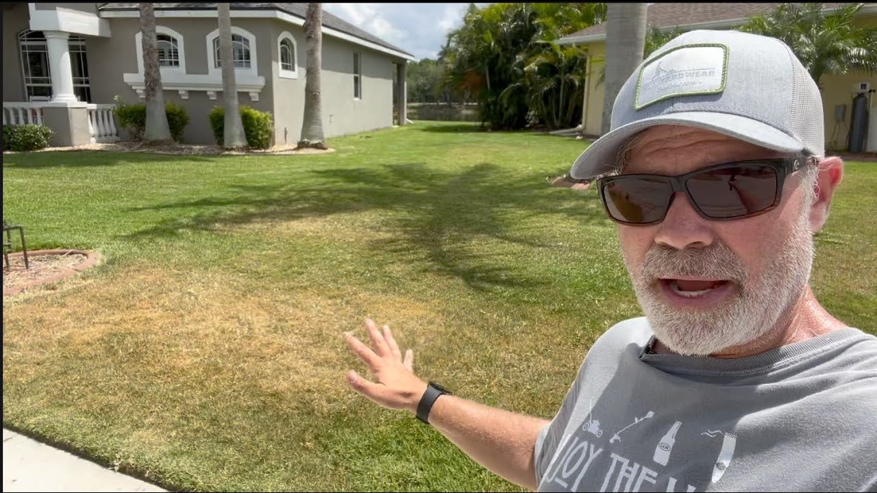 I'm Ashamed I Let This Happen // Zoysia Struggles + Freedom Factory Update